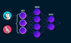 Imagem mostra uma bolinha com uma imagem de um cachorro e outra, abaixo, com a imagem de um gato. Na sequência ao lado direito, uma rede neural em três camadas: input-entrada, hiden-oculta, e output-saída. A animação mostra a imagem do cachorro acendendo, ativando as camadas das redes neurais e gerando a classificação na saída: “cachorro”