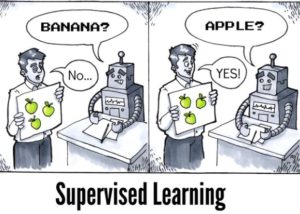 A imagem mostra um robo aprendendo o que são frutas e sendo supervisionado por um humano.