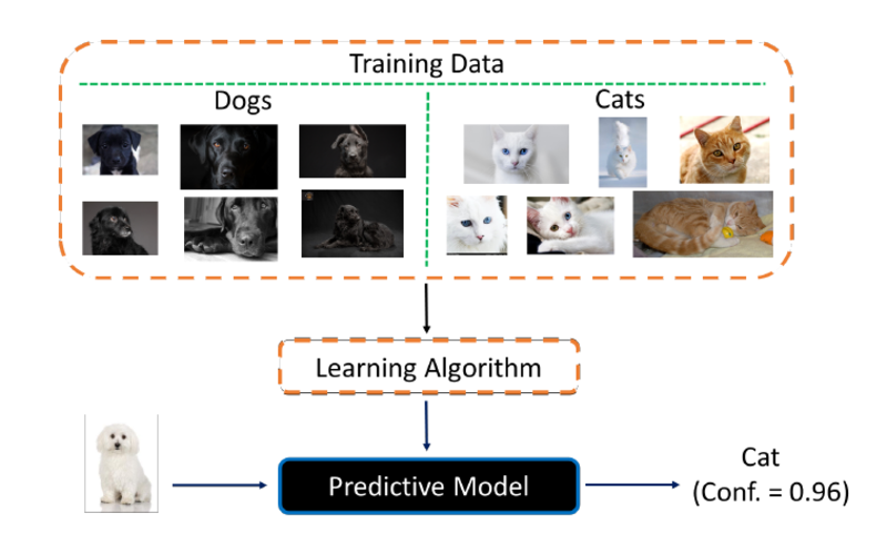 <em>Neste exemplo simplificado, a escolha de dados de entrada incluem apenas imagens de cachorros pretos e de gatos claros, e o resultado é o reconhecimento de um cachorro branco como gato, com confiança de 96%.