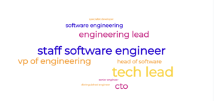 nuvem de palavras com as seguintes palavras: staff software engineer, vp of engineering, head of software, cto, tech lead, engineering lead, software engineering, specialist developer, distinguished engineer