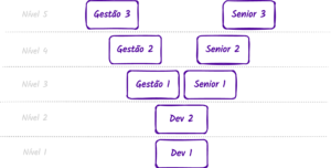 caixas em formato de Y com caminho esquerdo para níveis progressivos para gestão começando por 1 e níveis progressivos para senior no caminho e perna direita